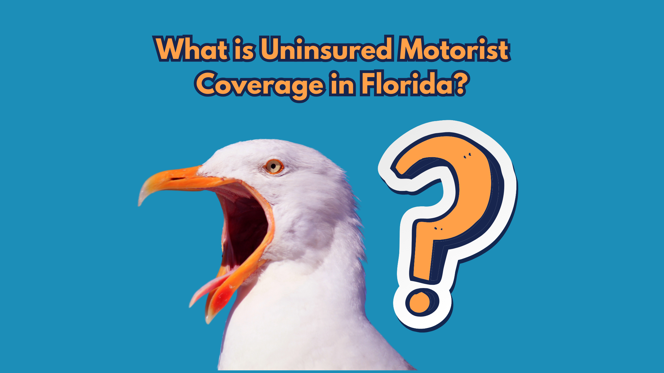 Uninsured Motorist Blog Banner